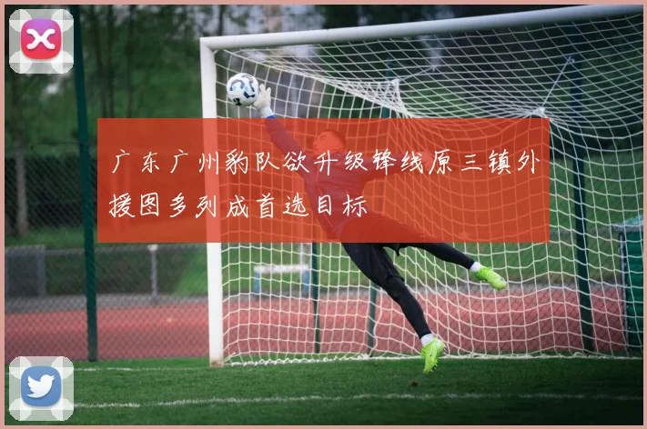 广东广州豹队欲升级锋线原三镇外援图多列成首选目标