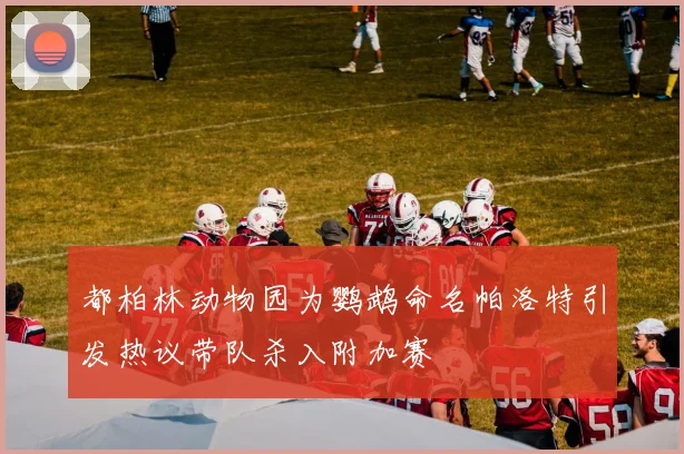 都柏林动物园为鹦鹉命名帕洛特引发热议带队杀入附加赛