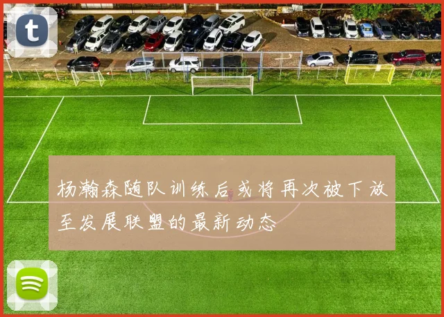 杨瀚森随队训练后或将再次被下放至发展联盟的最新动态